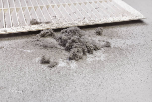 Best Residential Air Duct Cleaning  in Clearwater, FL