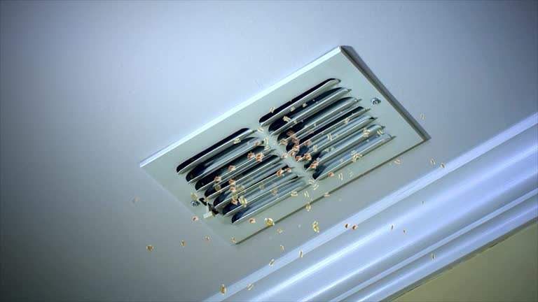 Best General Air Duct Cleaning  in Clearwater, FL