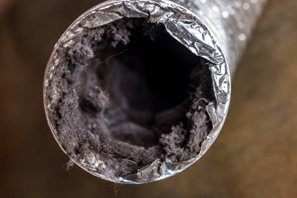 Affordable HVAC Duct Cleaning in Clearwater, FL