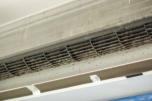 Best Best Air Duct Cleaning Company  in Clearwater, FL